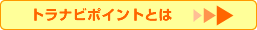 トラナビポイントとは